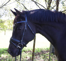 Load image into Gallery viewer, QUINTUS - Olive bold wide noseband