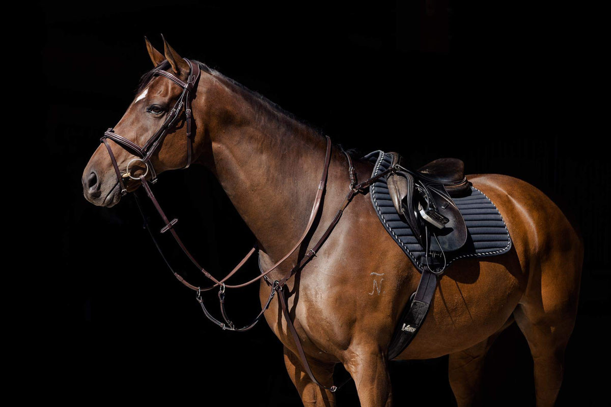 BREASTPLATES and ACCESSORIES Centaurion Park