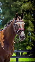 Load image into Gallery viewer, ARTEMIS- The hunter