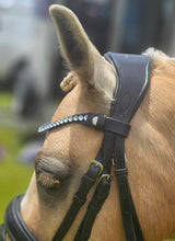 Load image into Gallery viewer, Dressage bridle (apollo)