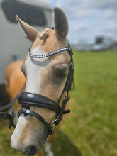 Load image into Gallery viewer, Dressage bridle (apollo)