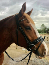 Load image into Gallery viewer, APHRODITE - Patent bridle