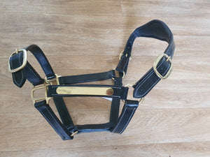 Name plate halters