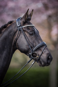 ATHENA - Black rolled bridle