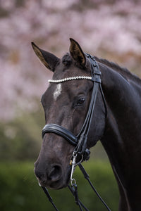 CIRCE - full rolled double bridle