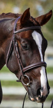 Load image into Gallery viewer, ACIES - white stitched bridle