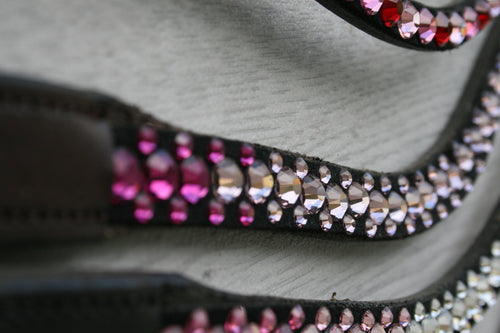 Ascending pinks  browband