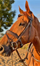 Load image into Gallery viewer, ACIES - white stitched bridle