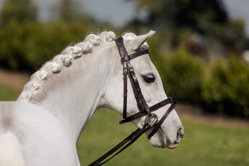 FLAT SHOW BRIDLE