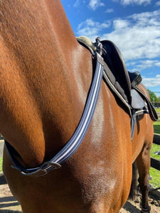 Sling breastplate