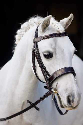 Hunter bridle small pony